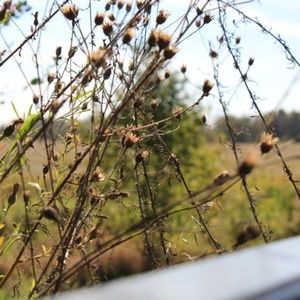 Meet your Posher, Makala